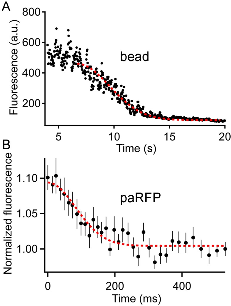 Figure 4—figure supplement 1.