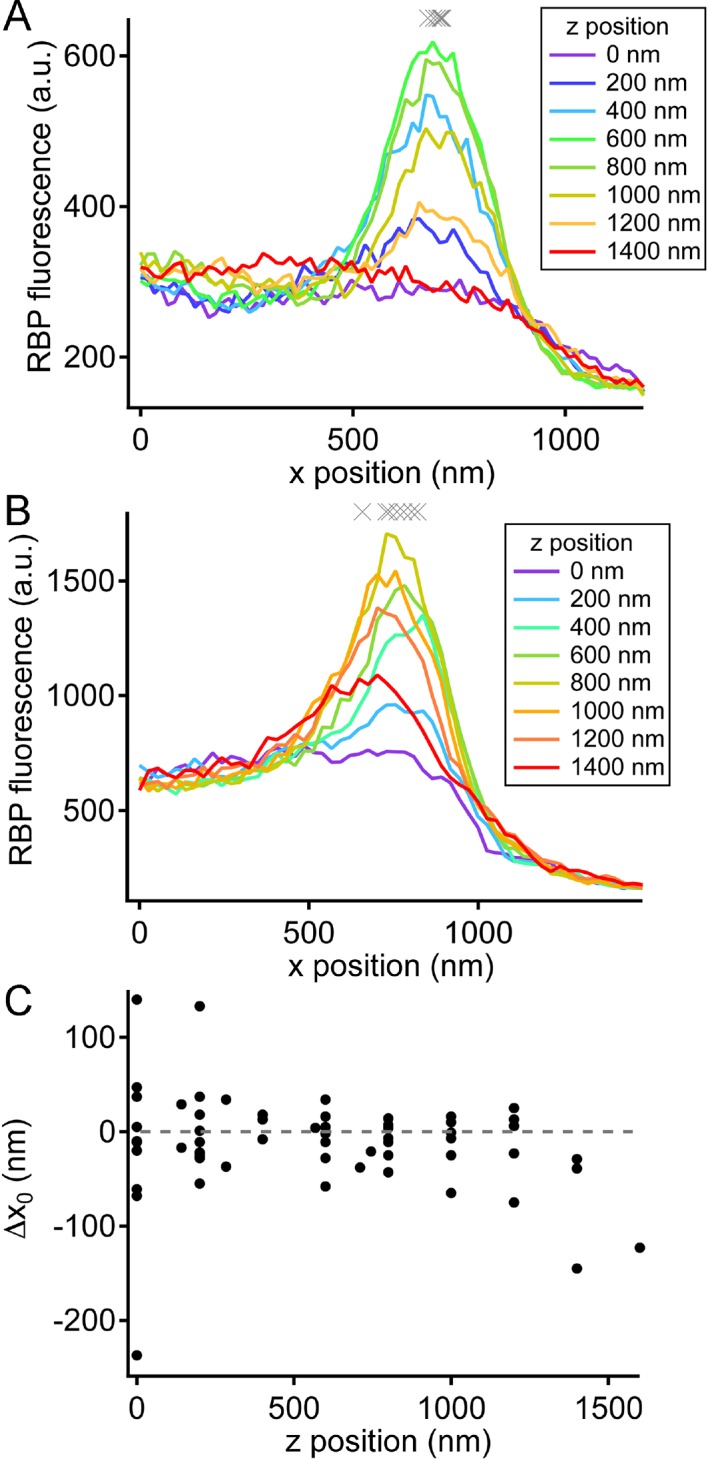 Figure 5—figure supplement 2.