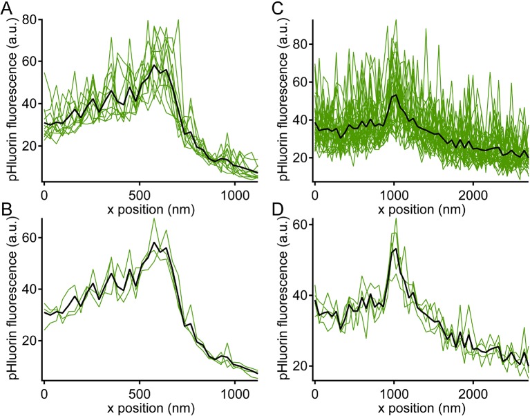 Figure 5—figure supplement 1.