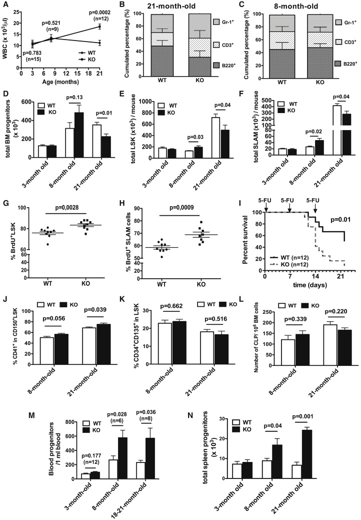 Figure 6