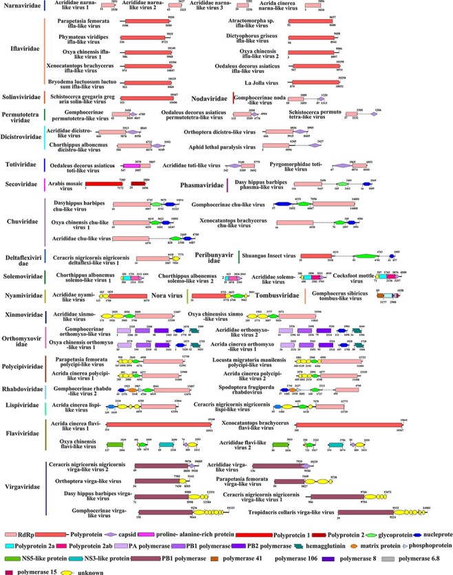 Figure 2.