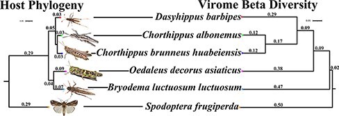 Figure 5.