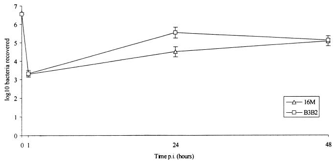 FIG. 5