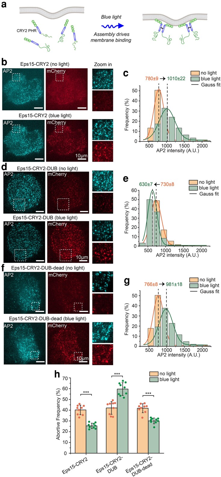 Fig. 6.