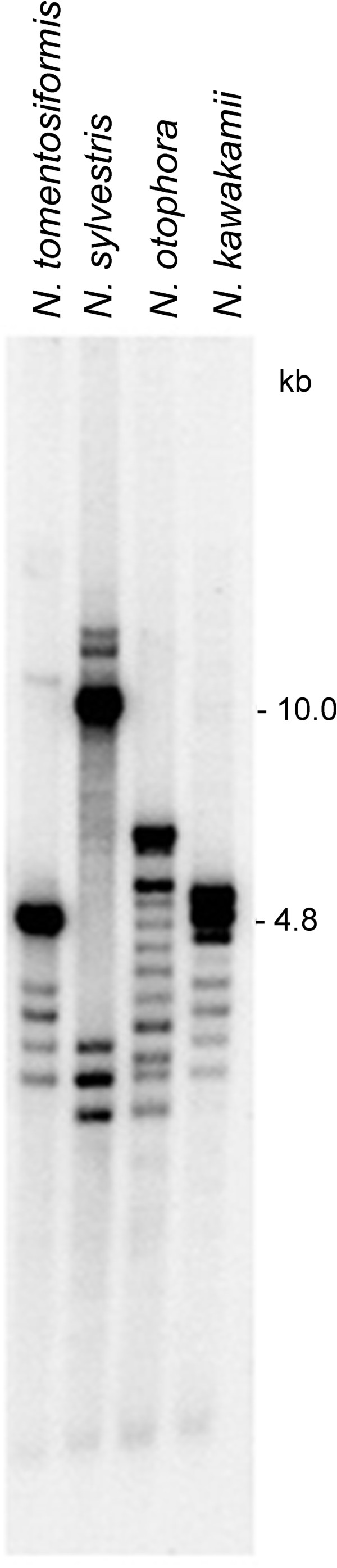 Figure 5