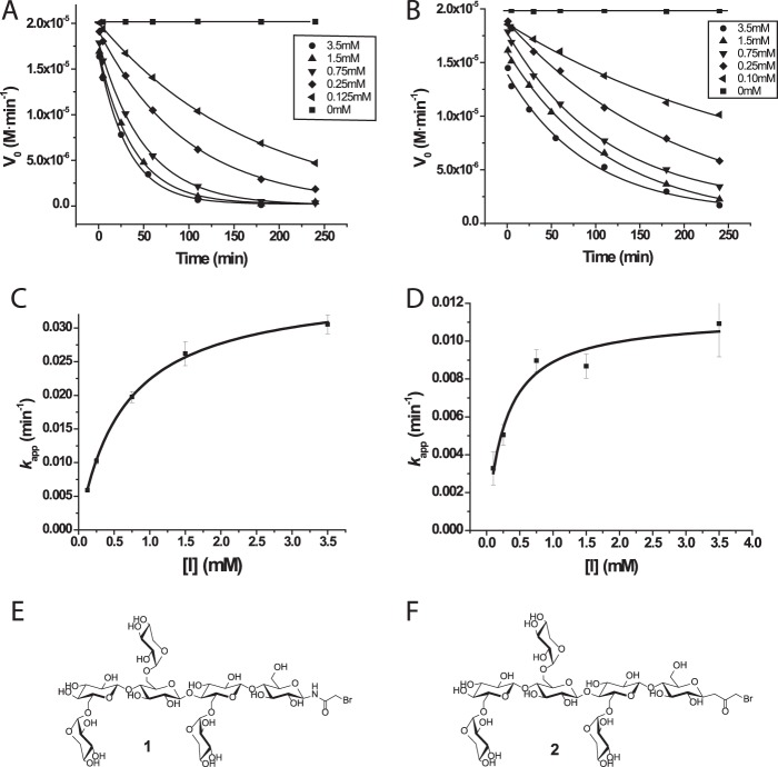 FIGURE 10.