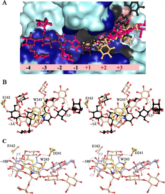 FIGURE 15.