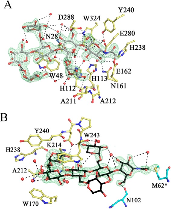 FIGURE 16.