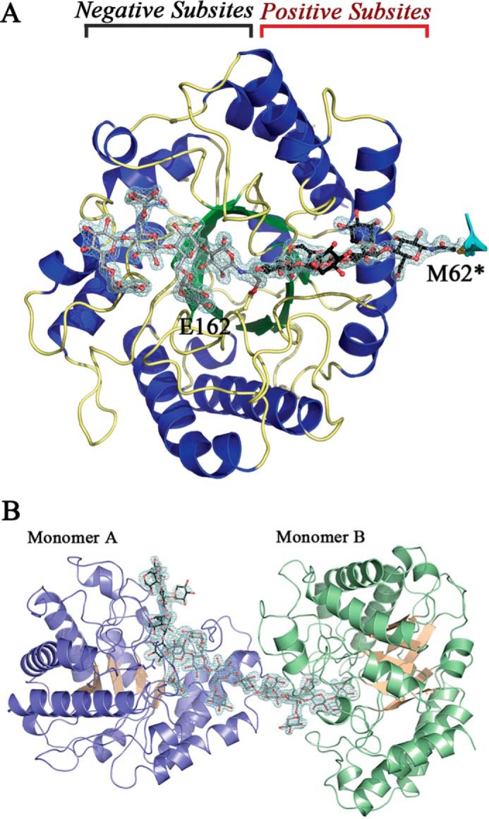 FIGURE 12.