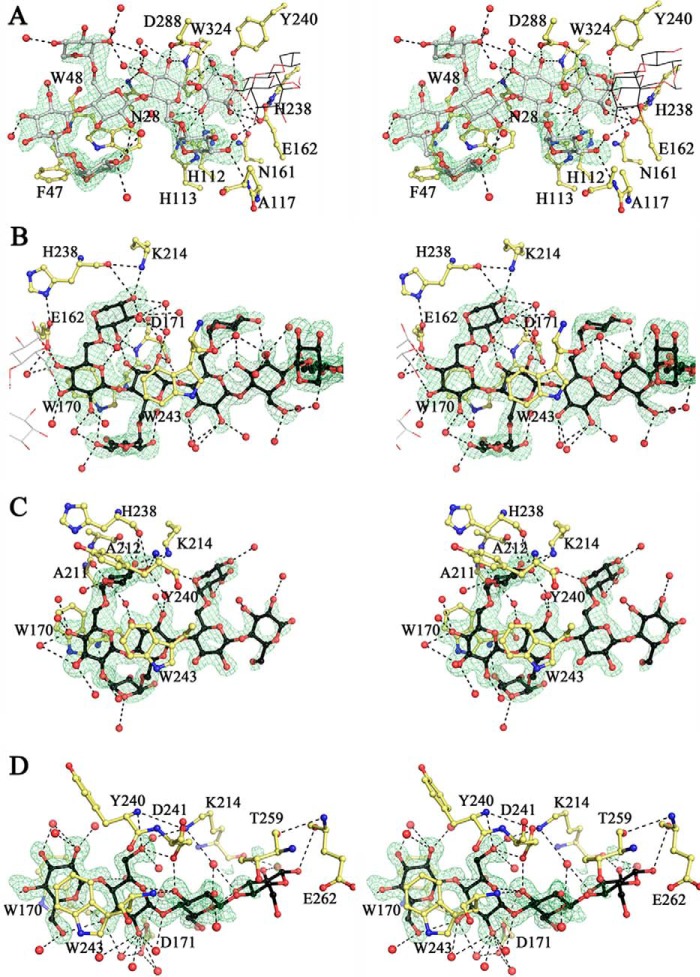 FIGURE 13.