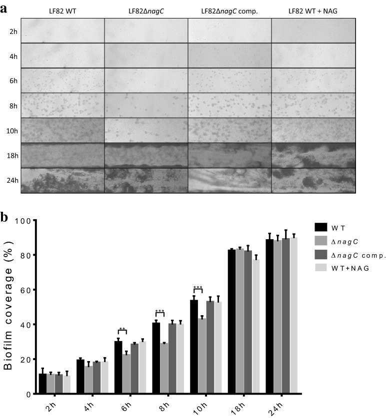 Fig. 3