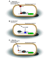 FIG 4