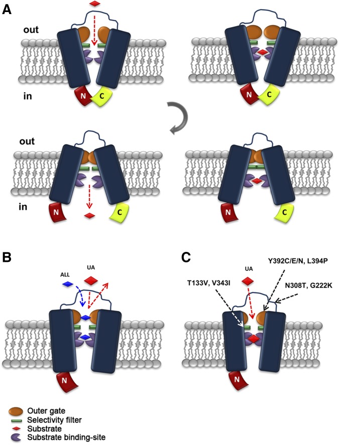 Figure 6