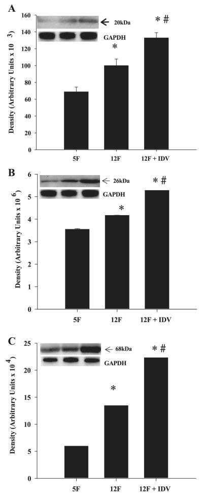 Fig. 5