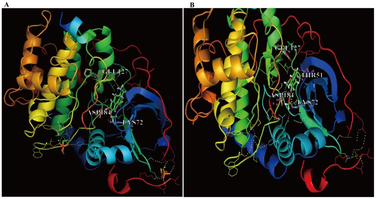 Figure 9