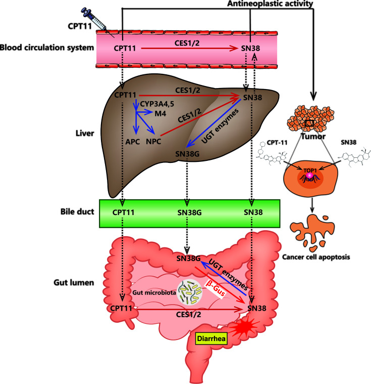 Figure 1