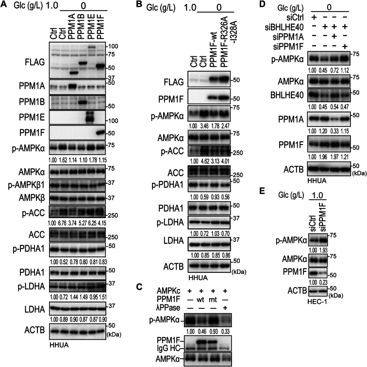 Figure 7