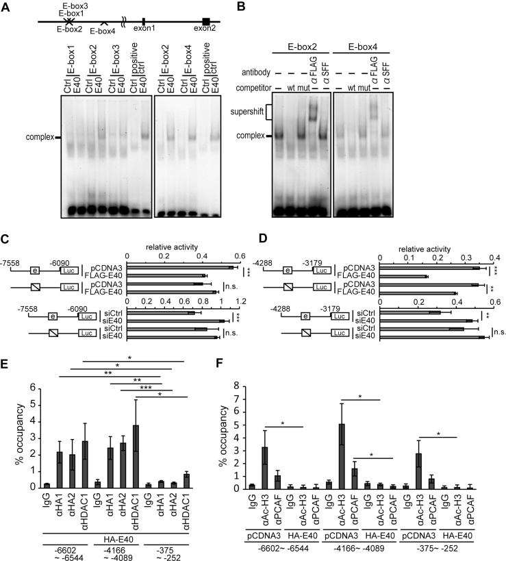 Figure 6