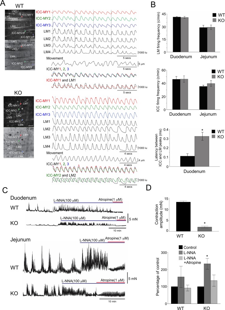 Fig 4