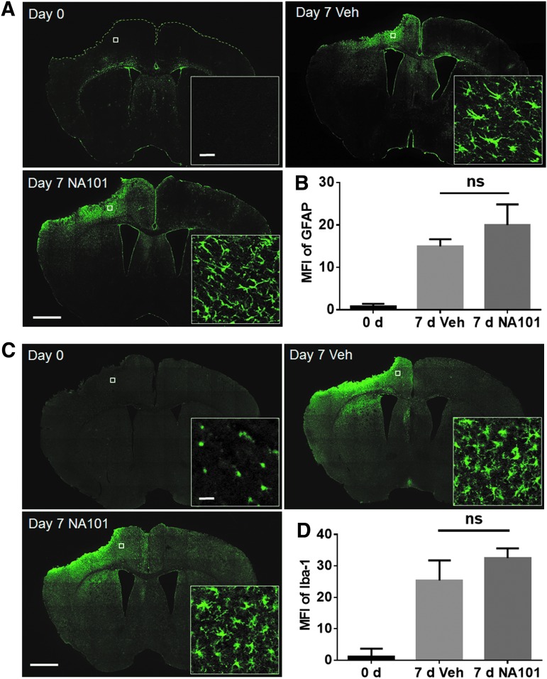 FIG. 7.