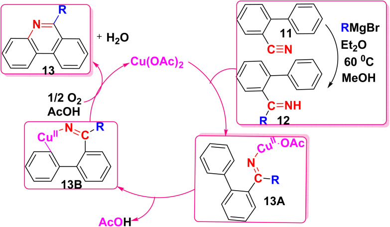 Scheme 9