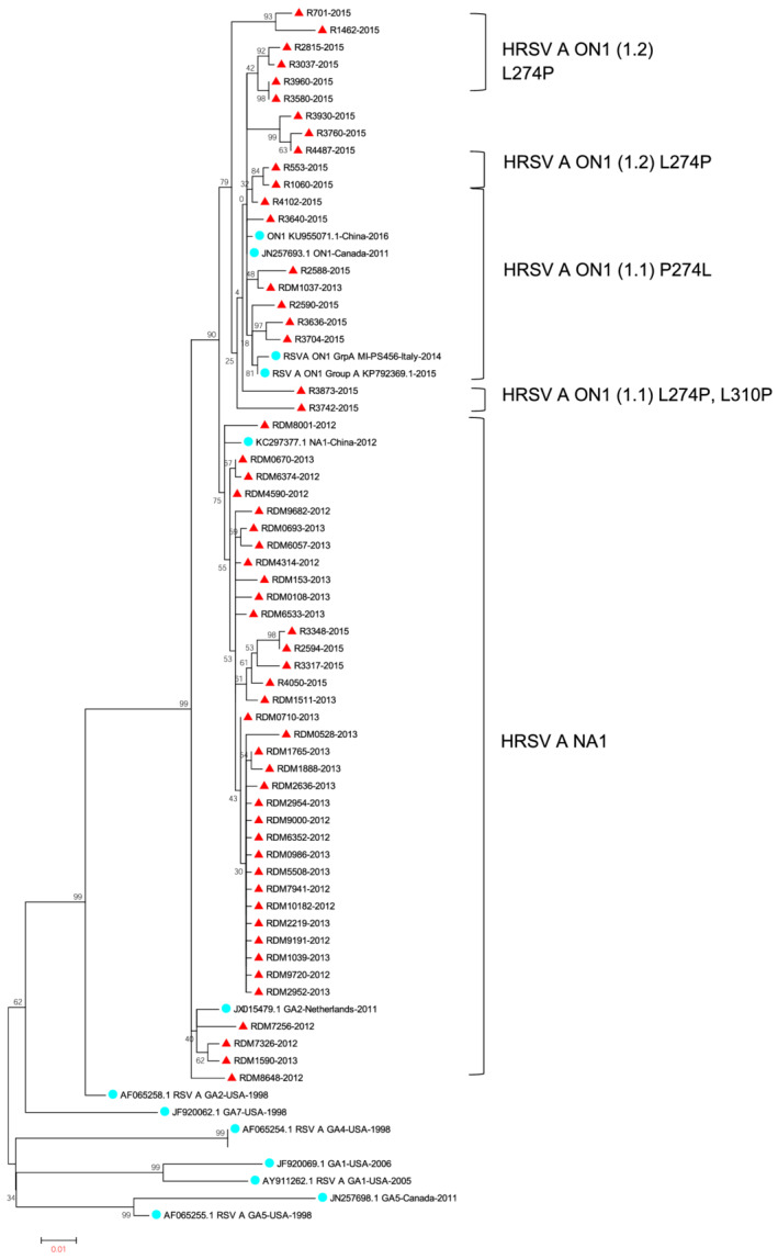 FIGURE 3