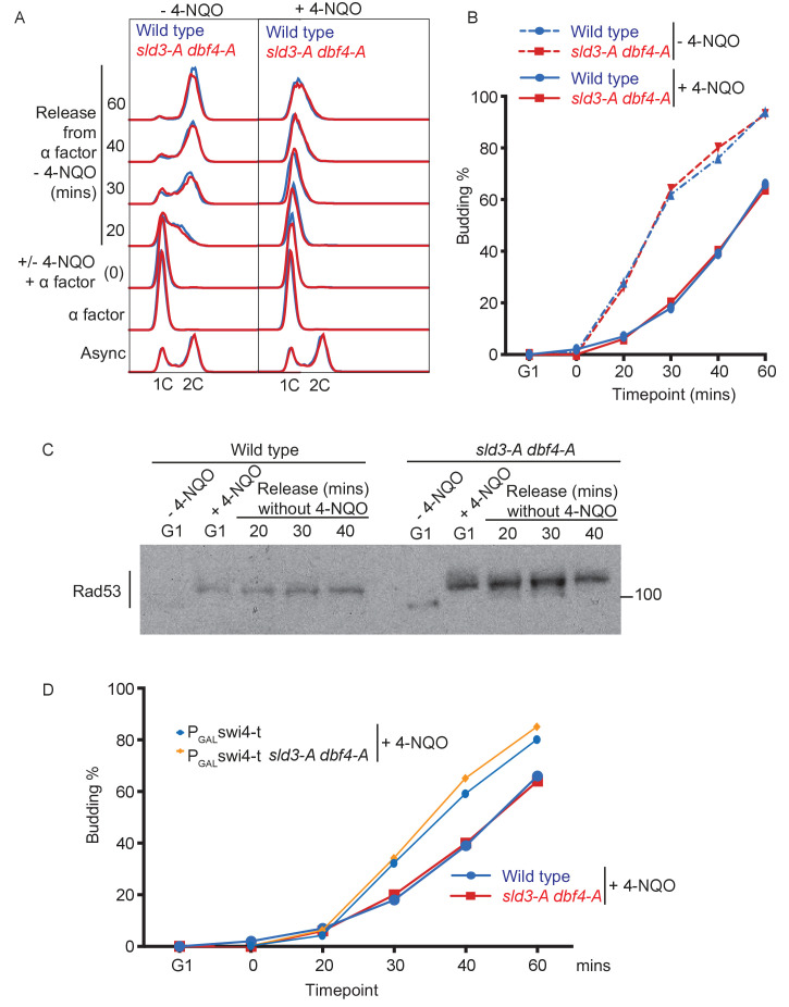 Figure 4—figure supplement 1.