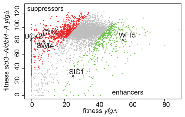 Figure 4—figure supplement 3.