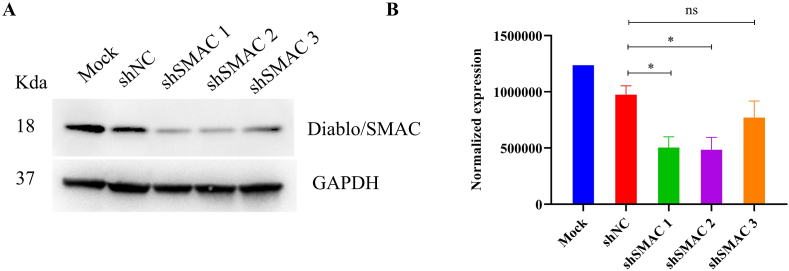 Fig. 10