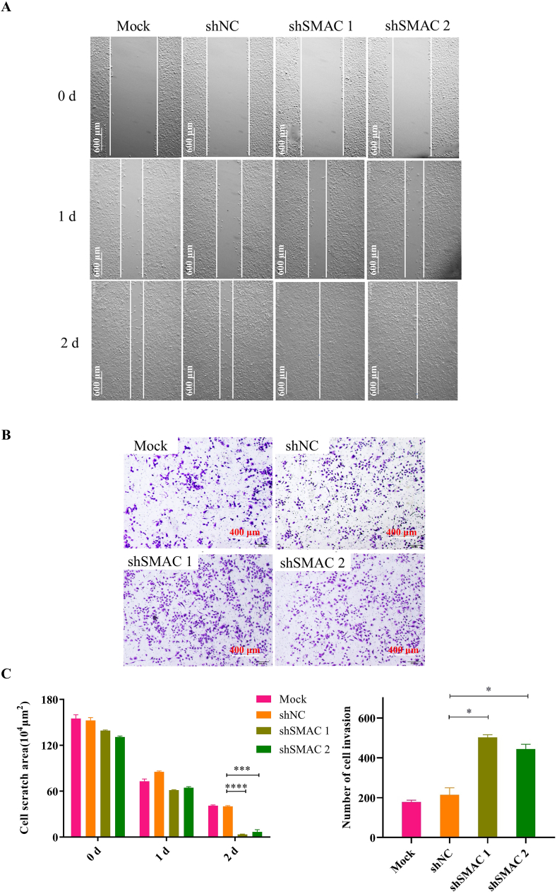 Fig. 11