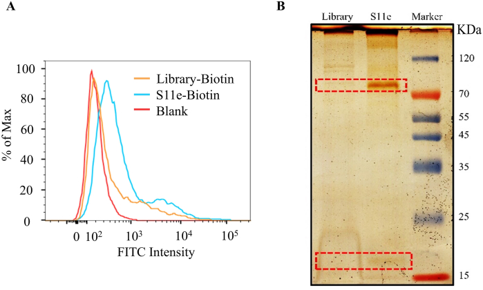 Fig. 9