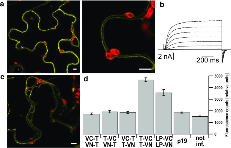 Fig. 3