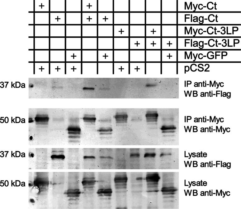 Fig. 4