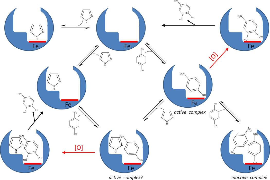 Fig. 8