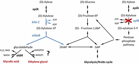 Fig. 1