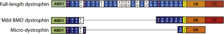 Figure 1