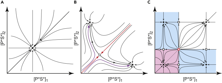 Figure 5