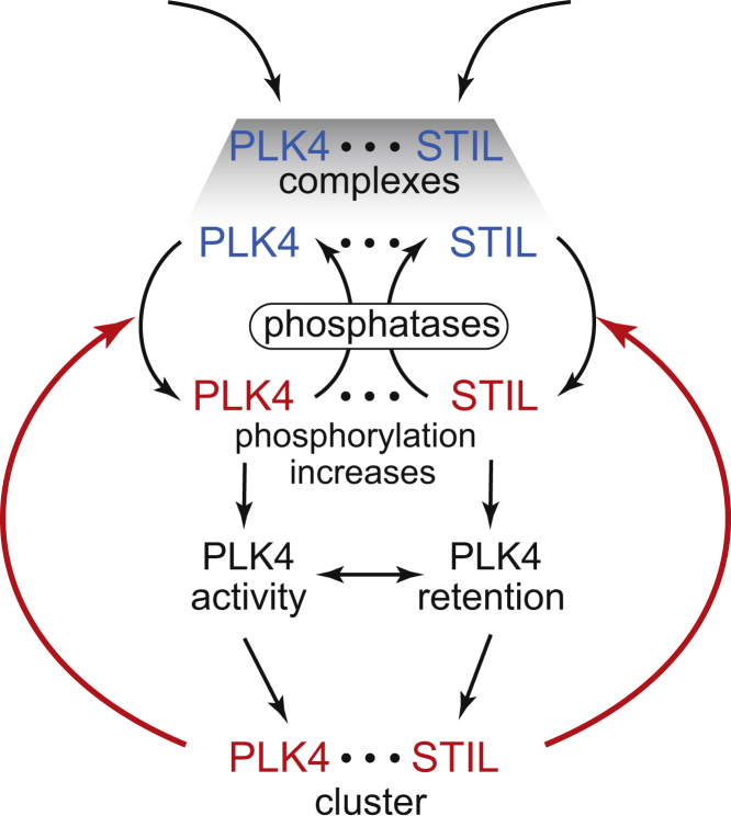 Figure 7