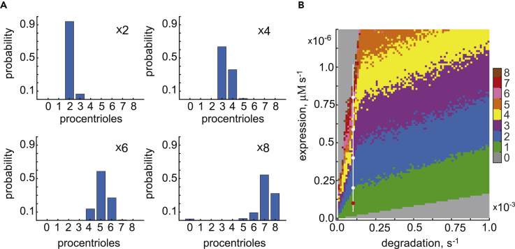 Figure 6