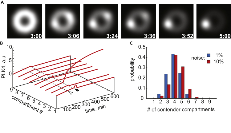 Figure 2