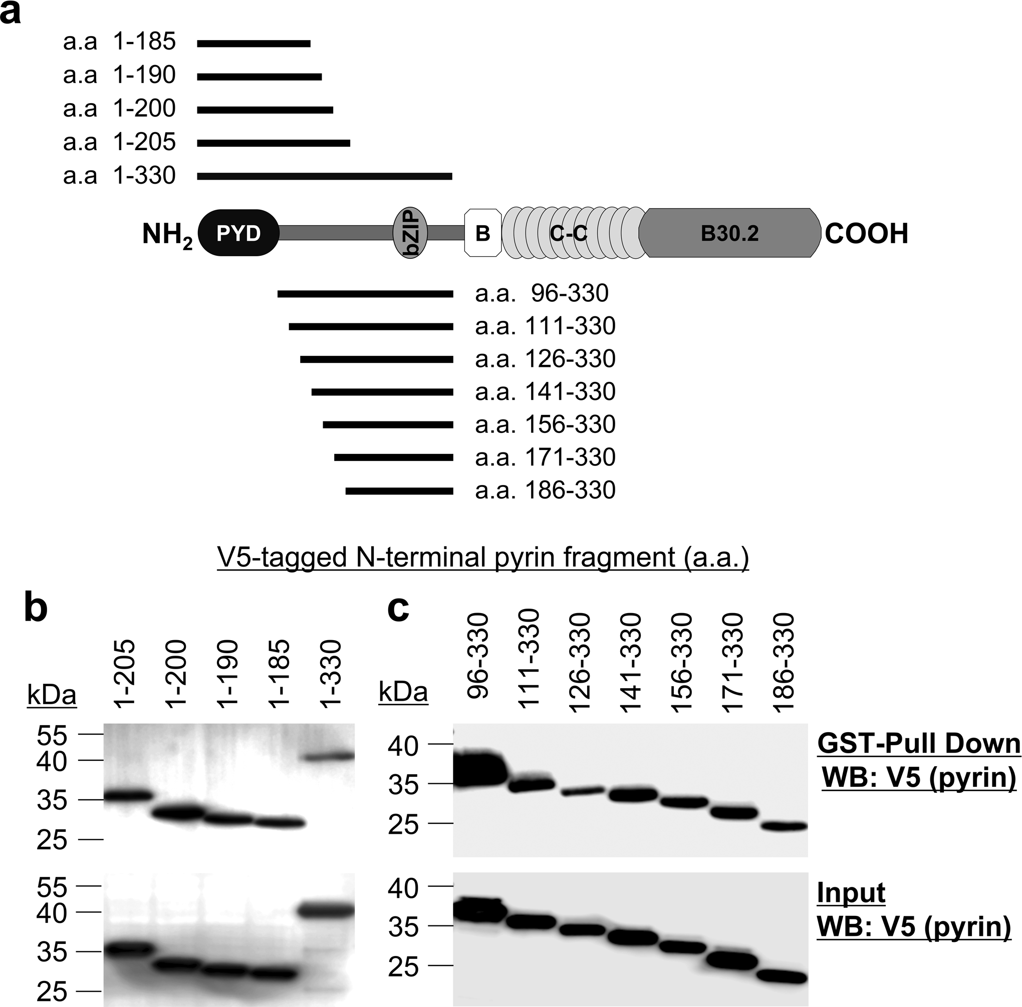 Extended Data Fig. 7