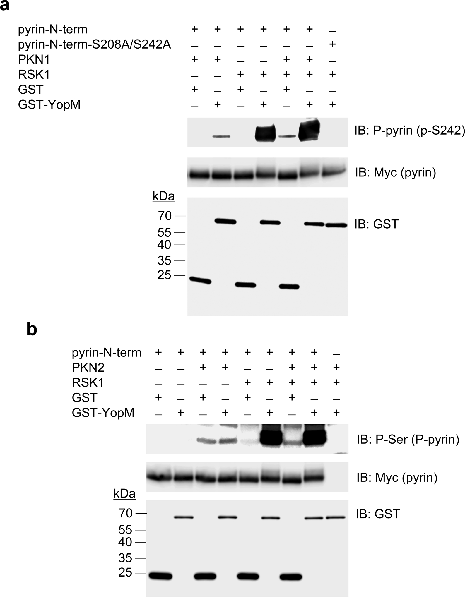 Extended Data Fig. 4