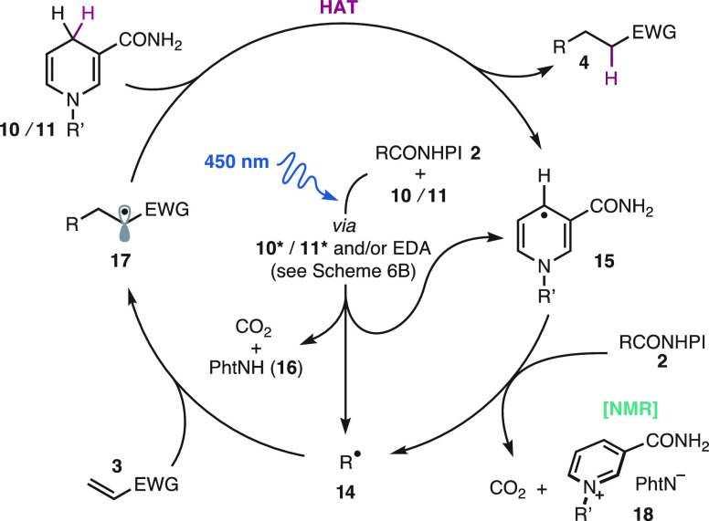 Scheme 7