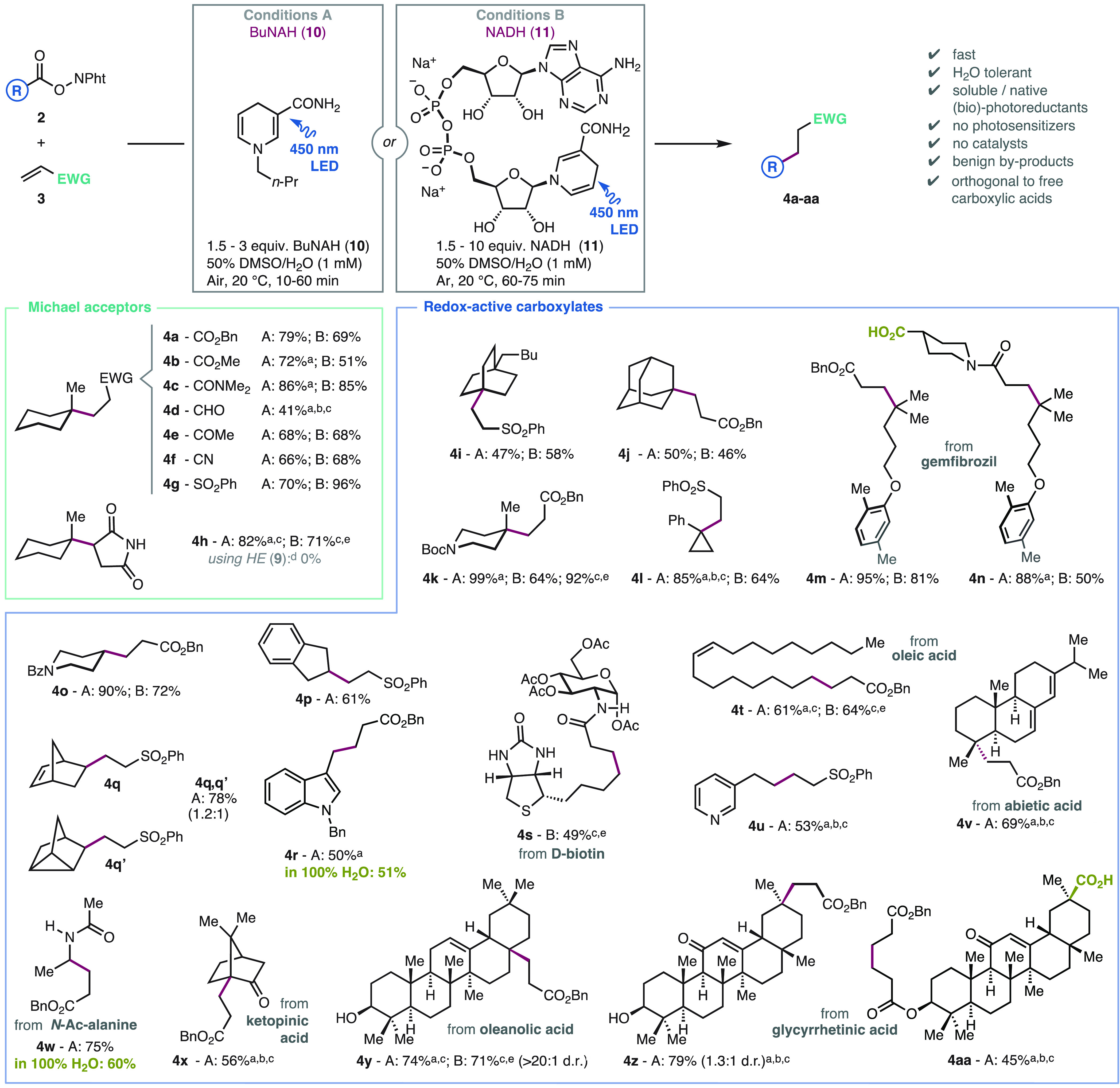 Scheme 3