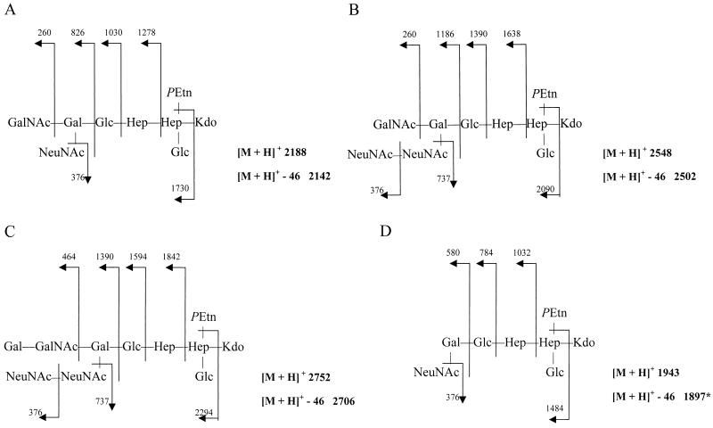 FIG. 2.