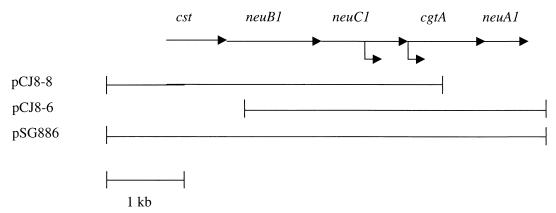 FIG. 3.