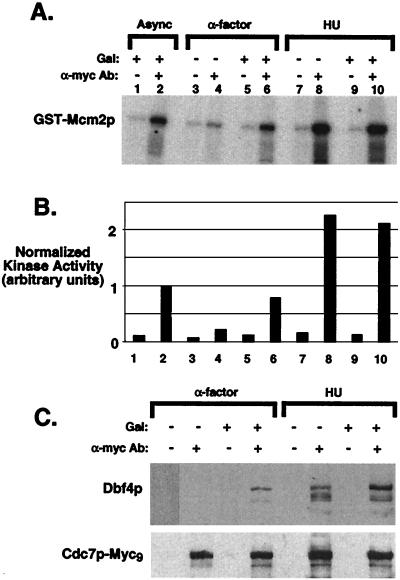 FIG. 8