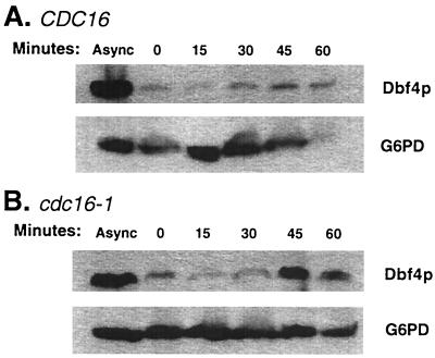 FIG. 6