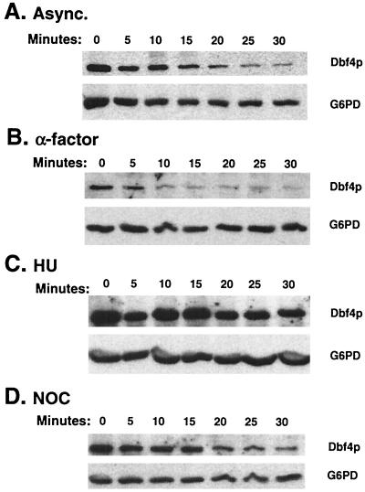 FIG. 5