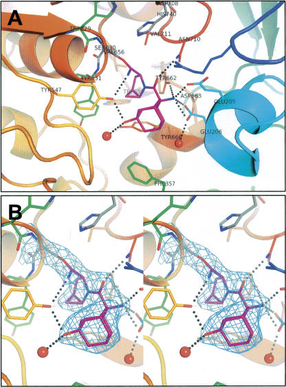 Figure 3.